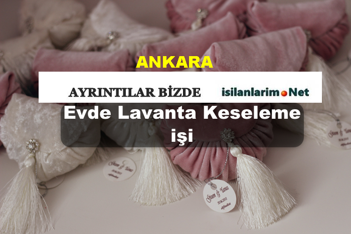 Ankara Evde Lavanta Keseleme İşi 2015 İş Güncel İş