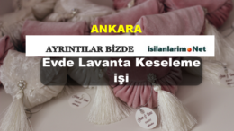 Ankara Evde Lavanta Keseleme İşi 2015
