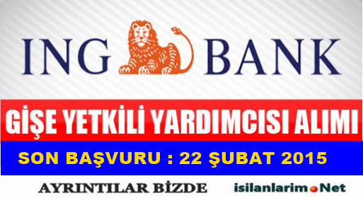 ING BANK ELEMAN ALIMI
