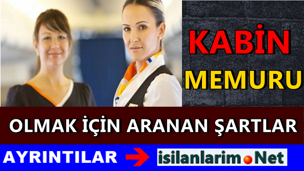 Kabin Memuru olmak İçin Aranan Şartlar 2015