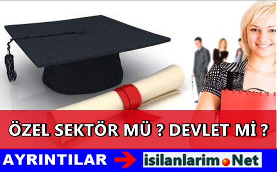 Devlet mi - Özel Sektör mü