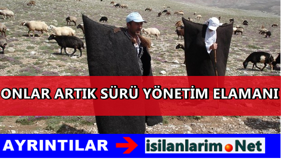 Sürü Yönetim Elemanı Olmak