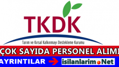 TKDK Başkanlığı 2015 Sözleşmeli Personel Alımı