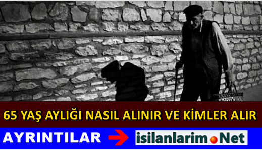 65 Yaş Aylık