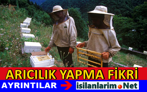 Arcılık Yapmak
