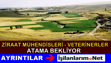 Ziraat Mühendisleri Ataması