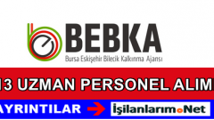 Bursa Eskişehir Bilecik Kalkınma Ajansı Personel Alımı