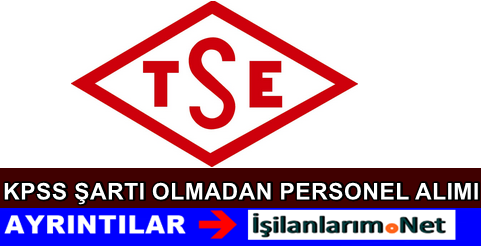 TSE İş İlanı 2015