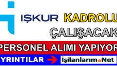 Türkiye İş Kurumu (İŞKUR) Kadrolu Avukat Alımı 2015