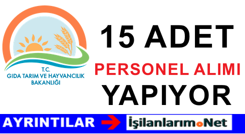Gıda Tarım Bakanlık Müfettiş Yardımcısı