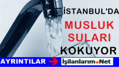 İstanbul’da Musluk Sularının Kokma Nedeni Belli Oldu