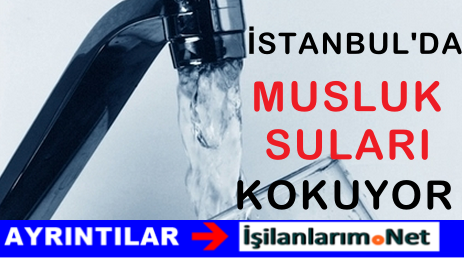 İstanbul Musluk Suları Kokuyor