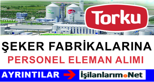TORKU ŞEKER KARİYER