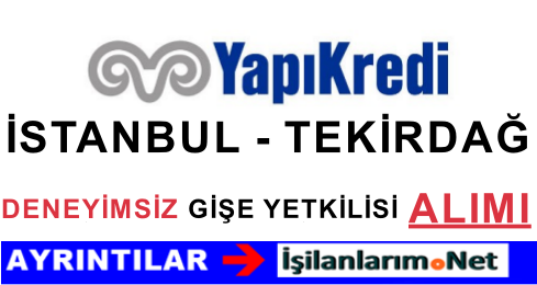 YAPI KREDİ İSTANBUL - TEKİRDAĞ GİŞE YETKİLİSİ