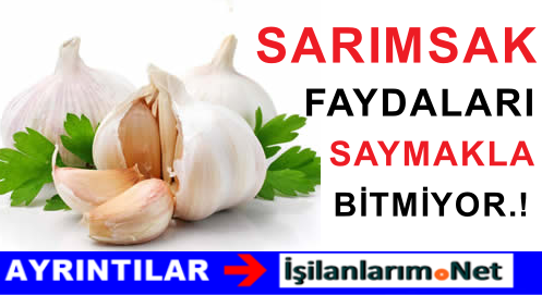 SARIMSAK FAYDALARI