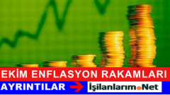 TUİK Ekim 2015 TÜFE – ÜFE Enflasyon Rakamlarını Açıkladı
